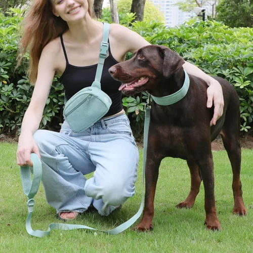 Miniatura 5 de Collares de perro personalizados grabados con nombre y número de teléfono para perros pequeños, medianos y grandes (verde menta, S)
