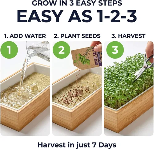 Miniatura 2 de Kit de cultivo de microgreens de riego automático, la forma más fácil de cultivar microverduras frescas en casa. Incluye bandeja reutilizable