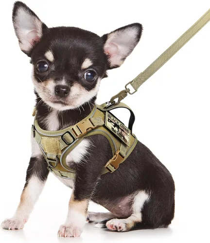 Arnés táctico para perro, arnés militar K9 para cachorro, arnés y correa para perro, sin tirones, arnés para entrenamiento al aire libre, XS con asa