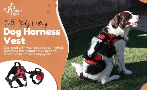 Miniatura 2 de Doggie Stylz Arnés Chaleco Multifuncional de Levantamiento de Cuerpo Completo para Perros, Diseñado para Levantamiento Solo Frontal, Solo Trasero