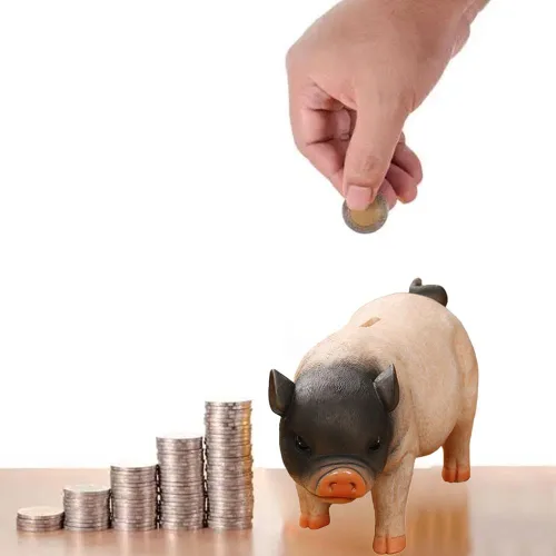 Miniatura 6 de Primst Alcancía de cerdo lindo, banco de dinero de resina, lindo cerdo caja de dinero, caja de monedas, caja de monedas para adultos, caja de dinero