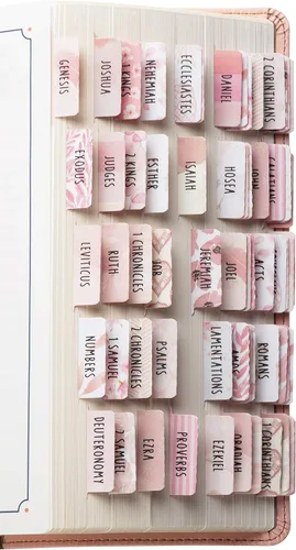 DiverseBee Pestañas laminadas de la Biblia para mujeres (letra grande, fácil de leer), pestañas coloridas para libros de diario bíblico, regalo Rosa
