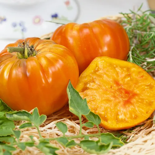 Semillas de tomate alemán a rayas, 0.25 onzas, 1700 semillas, sin OMG, reliquia - Huerto - Solanum lycopersicum
