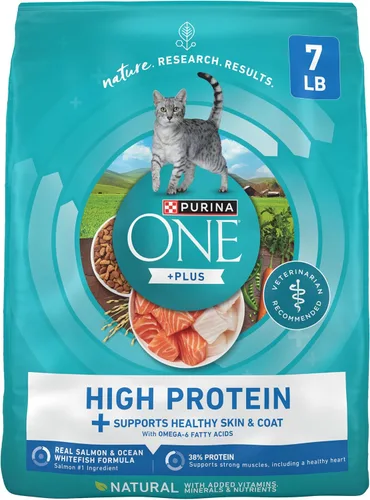 Purina ONE Plus - Alimento para gatos con alto contenido de proteínas, salmón seco y pescado blanco del océano, fórmula para la salud de la piel y