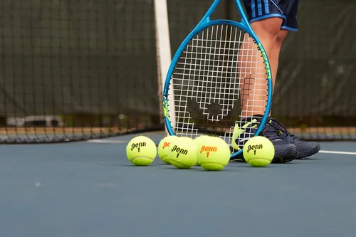Miniatura 8 de Penn Pelotas de tenis Championship - Pelotas de tenis a presión de fieltro de servicio regular