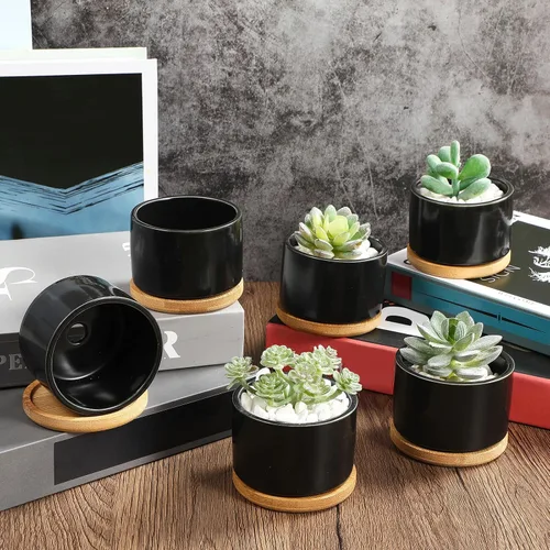 Miniatura 4 de Cindeer 12 juegos de macetas de cerámica para suculentas, macetas de cactus con bandeja de bambú, maceta cilíndrica pequeña con platillos de bambú