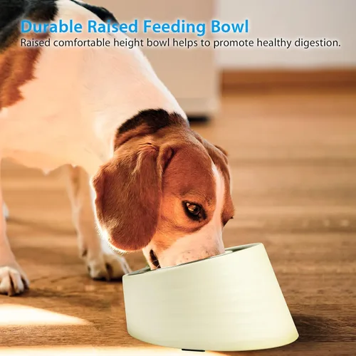 Miniatura 6 de Uppetly Tazón Inclinado para Perros 1 Taza, Cuenco de Comida para Perros y Gatos de Acero Inoxidable Inclinado 15°, Comedero Antideslizante