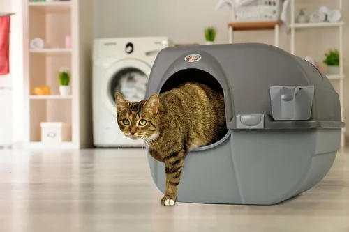 Miniatura 5 de Omega Paw Roll 'n Clean - Caja de arena autolimpiante, color marrón, grande
