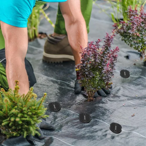 Miniatura 3 de 200 Paquetes de Estacas de Jardín Grapas de 6 pulgadas Clavijas de Tela para Paisajismo Césped 100 Piezas Grapas Galvanizadas en Forma de U Estacas