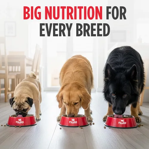 Miniatura 8 de Nulo Freestyle Alimento para Perros Adultos, Alimento Seco Premium Totalmente Natural Sin Granos de Croquetas Pequeñas para Perros, con Probiótico
