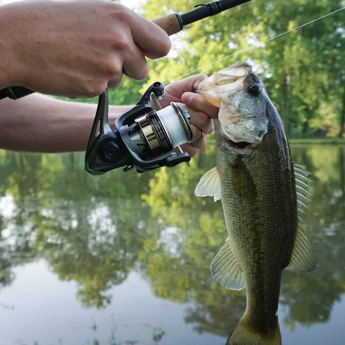 Miniatura 4 de Cadence - Carrete giratorio ideal 2024, carrete de pesca súper suave con 10 + 1 BB para agua dulce, duradero y potente carrete con 30 libras