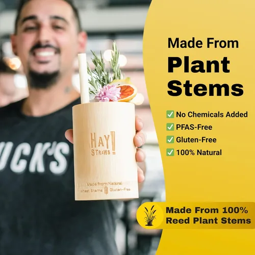 Miniatura 5 de HAY! Straws Pajitas jumbo con tallo de caña Martini de 6 pulgadas 1500 unidades Ancho 6.5-8.5 de diámetro 100% a base de plantas
