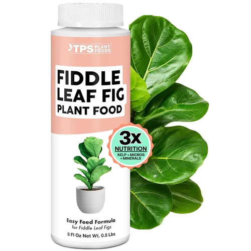 Fiddle Leaf Fig Plant Food – Fertilizante líquido para hojas más grandes, raíces más fuertes y un nuevo crecimiento saludable, 8 onzas