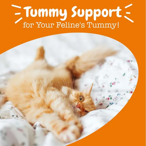Miniatura 6 de Zesty Paws Probióticos para Gatos - Complemento en Polvo para la Comida para la Digestión y el Soporte del Sistema Inmunológico del Bioma Felino