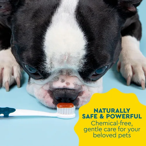 Miniatura 6 de RADIUS USDA - Pasta dental orgánica canina para mascotas, 1 unidad, 3 onzas, pasta dental no tóxica para perros, diseñada para limpiar los dientes