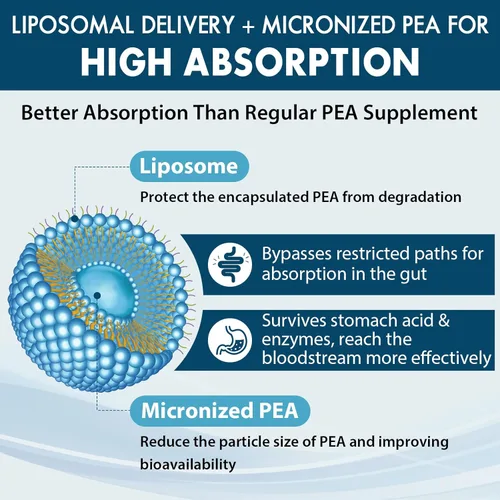 Miniatura 3 de Ulmubra Palmitoiletanolamida liposomal 1300 mg más luteolina 100 mg, absorción superior, suplemento de guisante micronizado para el manejo
