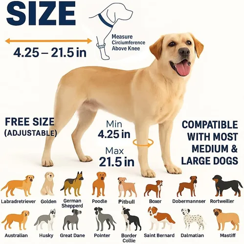 Miniatura 2 de LovinPet Rodilleras para perros, par de 2 soportes para razas medianas y grandes, almohadillas de espuma viscoelástica para cuidado