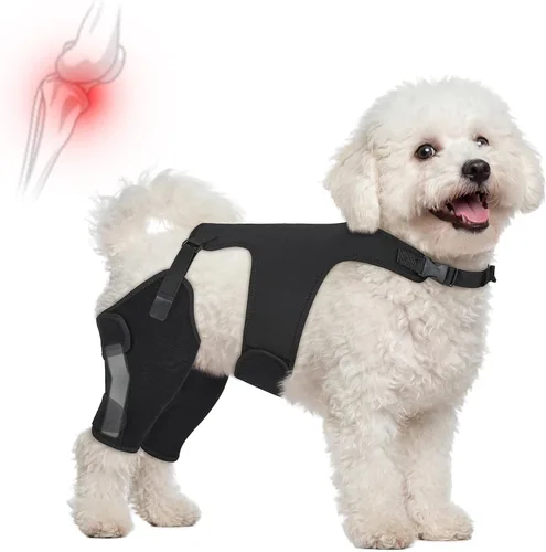 Rodillera para perro para pierna trasera desgarrada del ligamento cruzado anterior, soporte ajustable para piernas de perro con estabilizadores de