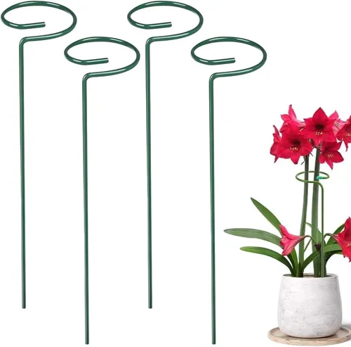 Miniatura 14 de Paquete de 4/8/12 estacas para plantas, estacas de soporte para plantas de 16/24/36 pulgadas, nuevo soporte de palos para plantas 2025, estacas