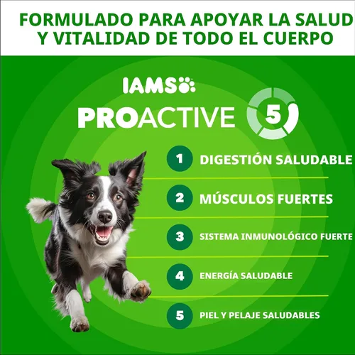 Miniatura 3 de IAMS Proactive Health Adult Minichunks Alimento Seco para Perros receta de Pollo y Granos Integrales, Bolsa de 30 lb