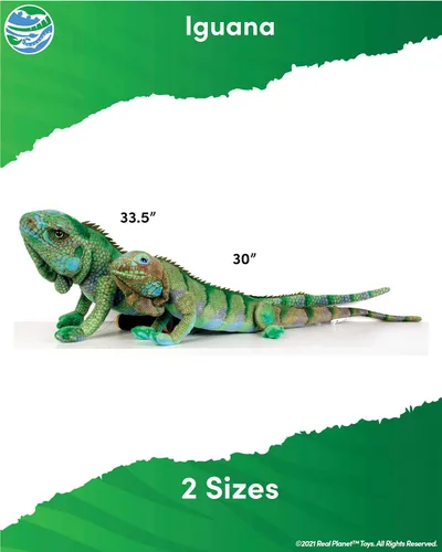 Miniatura 3 de Real Planet Animal de peluche de iguana de 30 pulgadas, lagarto realista de iguana azul para niños, más de 2 pies de largo, animales salvajes