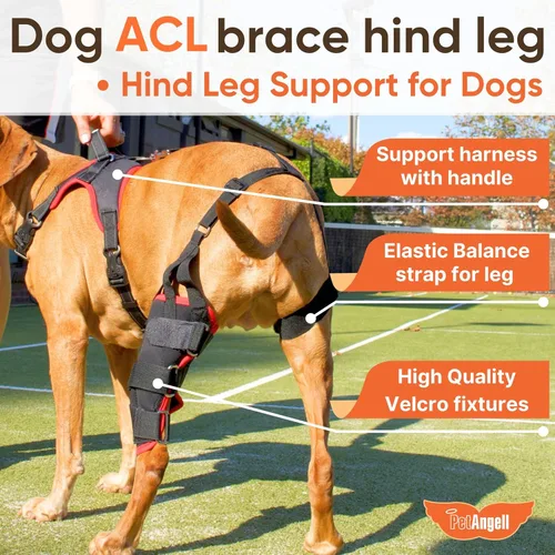 Miniatura 5 de Rodillera para perro con arnés – Soporte premium para lesiones de ligamento cruzado anterior, lesiones en las piernas traseras, rótula luxante