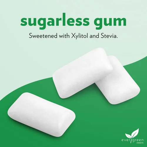 Miniatura 3 de Evergreen Sweets Chicle – Tarro de 100 piezas – Goma de mascar de menta verde natural hecha con xilitol y stevia – sin azúcar, sin aspartamo y vegano