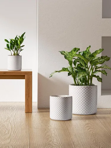 Miniatura 3 de LE TAUCI Macetas de cerámica para interiores, macetas de 10+8+6 pulgadas para plantas de interior, macetas para flores con puntos elevados