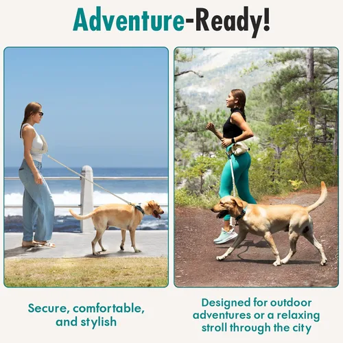 Miniatura 8 de Correa de perro manos libres con bolsa de golosinas para perros, correa de cintura elegante y moderna para pasear al perro, para llevar alrededor