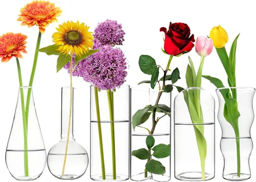 Miniatura 14 de CYS EXCEL Juego de 6 jarrones de cristal pequeños, pequeños jarrones de flores transparentes para centros de mesa de boda, decoración de mesa