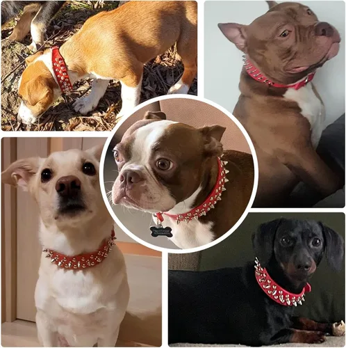 Miniatura 4 de Collar de perro y gato rojo con púas pequeñas para perros pequeños y medianos machos hembras – Collar ajustable con tachuelas – Collar de perro