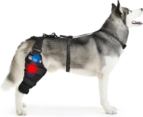 Miniatura 11 de Perro ACL Brace pata trasera – Soporte de pierna trasera ajustable transpirable con gel de compresión caliente/frío para artritis, hinchazón