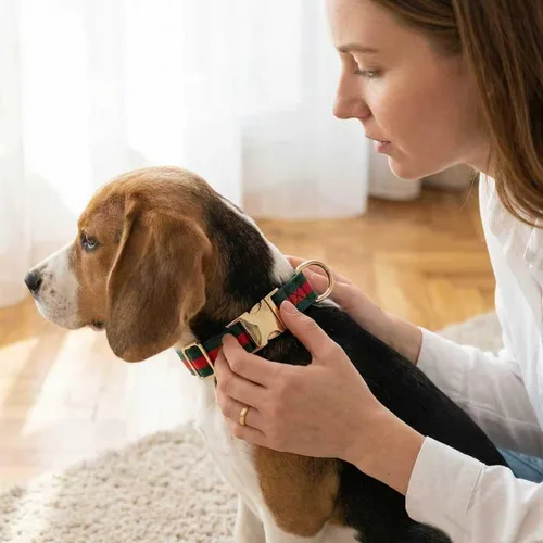 Miniatura 3 de Collar de perro de alta calidad, lindos collares de lujo para perros, collares duraderos para mascotas con hebilla de metal de seguridad para perros