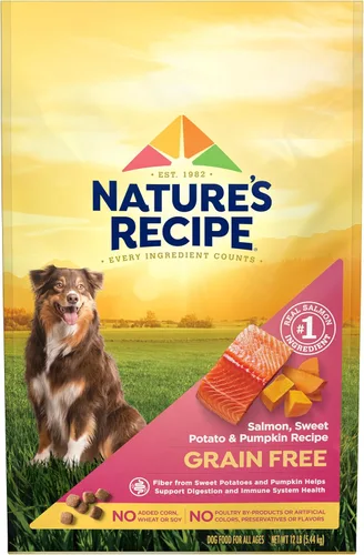 Comida seca Nature's Recipe para perro libre de granos