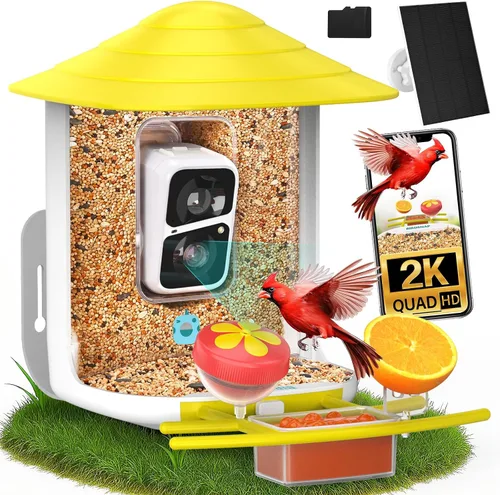 Miniatura 10 de birdsnap® TUC - Comedero para pájaros con cámara 2K HD en vivo con tarjeta de 32 GB, detección y notificación automática de inteligencia artificial