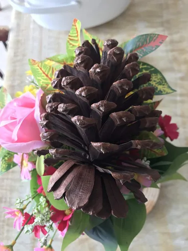 Miniatura 3 de PineCones - Paquete alto a granel, totalmente naturales, piñas grandes y piñas de pino naturales perfectas para adornos colgantes de Navidad