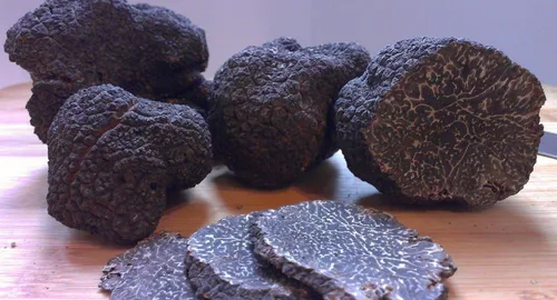 Miniatura 8 de Setas de trufa negra sin OMG para plantar esporas de desove de micelio