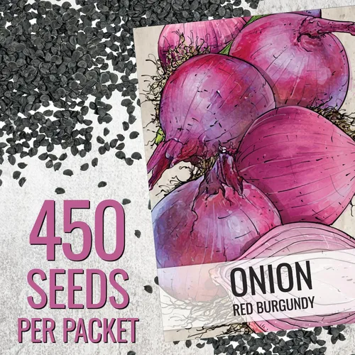 Miniatura 3 de Seed Needs Semillas de cebolla para plantar cebollas de día corto rojo burdeos, semillas de verduras sin tratar y sin OMG para plantar un jardín