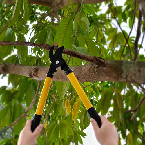 Miniatura 5 de Juego de 41 herramientas de jardinería de alta calidad, kit de herramientas de jardinería de acero inoxidable, con agarre de goma antideslizante