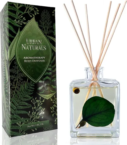 Miniatura 18 de Urban Naturals Balsam Forest - Juego de aceites difusores de varillas – Abeto Fraser, hoja perenne, pino, cedro leñoso y sándalo – Botella de vidrio