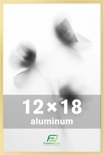 Miniatura 45 de FrameWorks Marcos para póster de aluminio cepillado de 12 x 18 pulgadas, diseño moderno de metal cepillado con plexiglás inastillable, perfecto