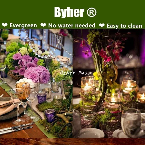 Miniatura 6 de Byher 92926 - Musgo de bosque, verde fresco, 8 onzas (200 pulgadas cúbicas)