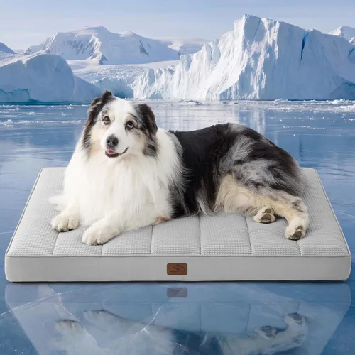 Miniatura 34 de Bedsure Camas para Perros Tamaño Grande - Cómodas Camas Planas para Mascotas con Funda Lavable Extraíble, Alfombrilla de Espuma Ortopédica