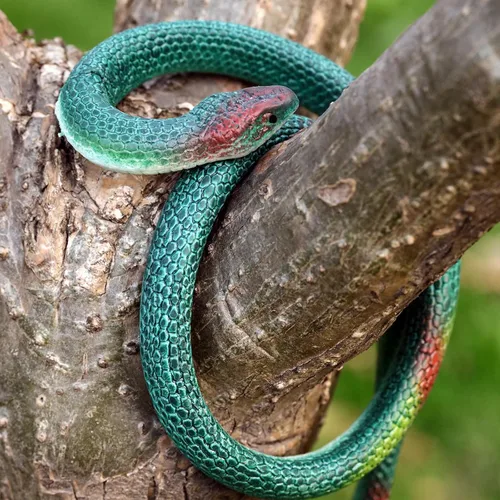 Miniatura 5 de Blulu 3 Piezas Serpientes de Goma Realistas Grandes Falsas Juguetes de Plástico para Jardín para Alejar Aves Espantar Ardillas Broma de Halloween