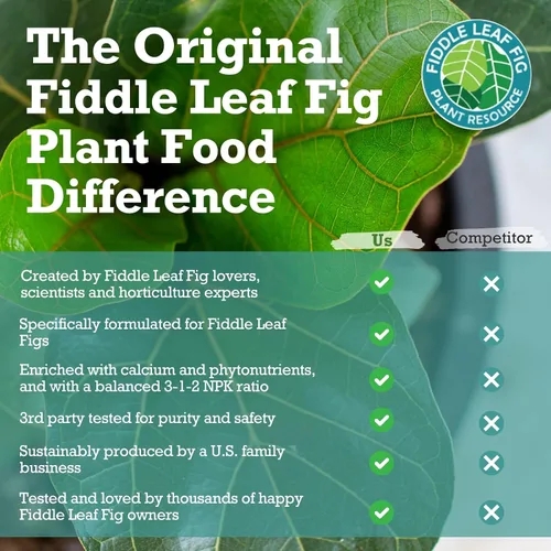 Miniatura 5 de Fiddle Leaf Fig Plant Food – Fertilizante líquido equilibrado NPK 3-1-2 para hojas más grandes, raíces más fuertes y crecimiento constante