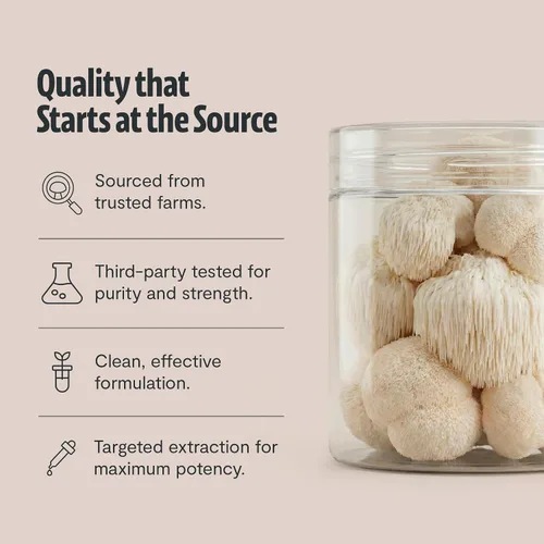 Miniatura 6 de FreshCap Mushrooms Suplemento de melena de leones en polvo, 14,000 mg, extracto de melena de león, suplemento de hongos para concentración