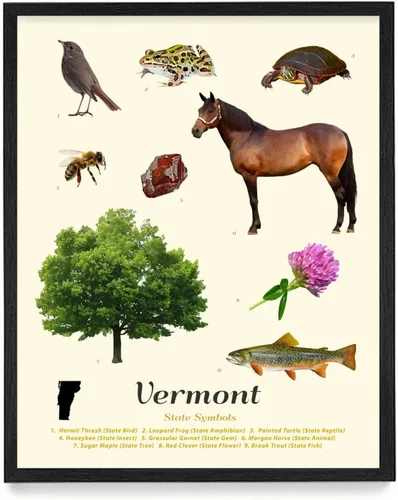 Póster de símbolos del estado de Vermont - Arte de pared de Vermont - Decoración del hogar - Regalo de Vermont - Impresión enmarcada de 18 x 24