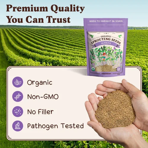 Miniatura 6 de Seedboy Semillas de alfalfa orgánicas sin GMO para germinación - Semillas para brotes de microverdes - Bolsa de 8 oz, produce 8 cuartos / 24