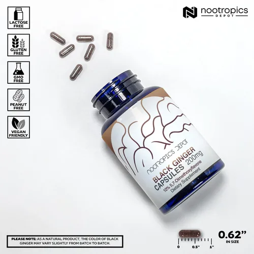 Miniatura 3 de Nootropics Depot Cápsulas de extracto de jengibre negro 10% 5,7-dimetoxiflavona 60