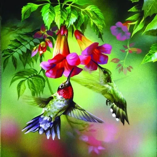 Miniatura 3 de SUNSOUT INC - Summer Hummer - Rompecabezas de 1000 piezas por artista: Spencer Williams - Tamaño acabado 26" x 26" - MPN # 63160